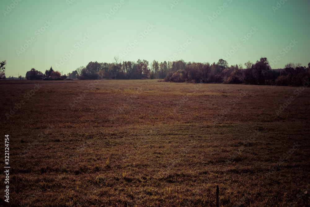 empty meadow in autumn
