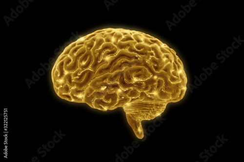 Golden brains on black background photo