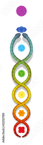 Kundalini serpent ascending along the seven main chakras. Symbol for spiritual power and balance, awakening, harmony and relaxation. Vector illustration on white.