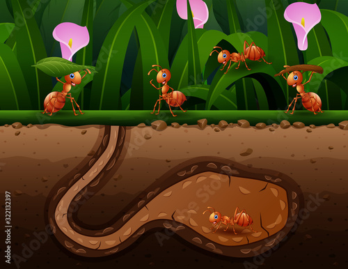 A group of working ants in hole illustration