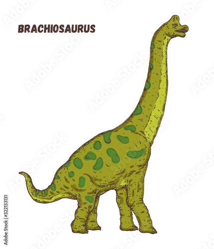 Brachiosaurus dinosaur hand drawn. Vector illustration. Herbivorous dinosaur. Cartoon illustration © vidimages