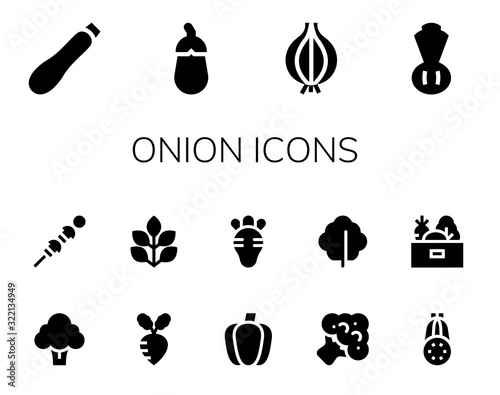 onion icon set