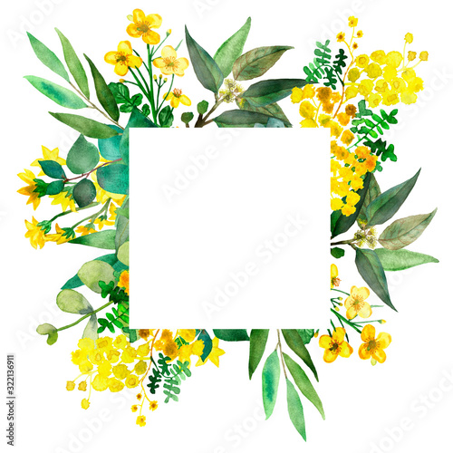 Watercolor hand painted meadow nature squared border frame with green eucalyptus leaves on branch, yellow acacia and buttercup bouquet composition on the white background for invite and greeting cards photo