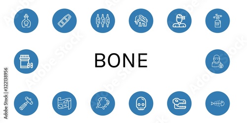 Set of bone icons