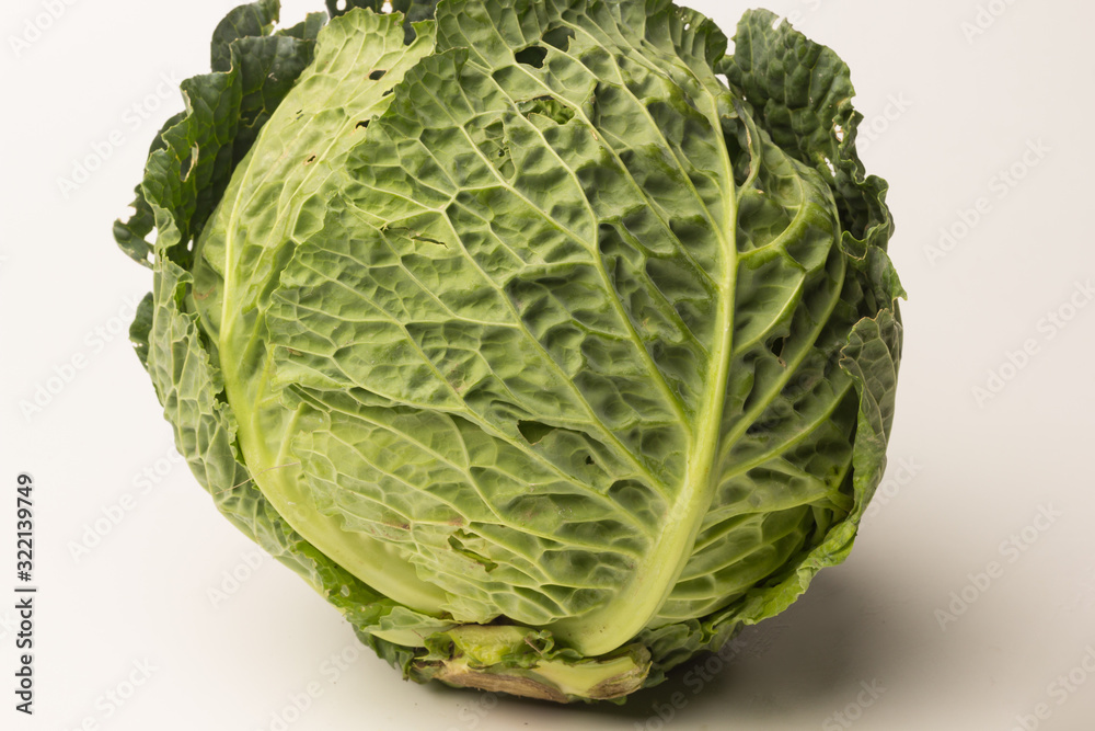 Fototapeta premium Raw, fresh and organic cabbage, freshly picked from the garden