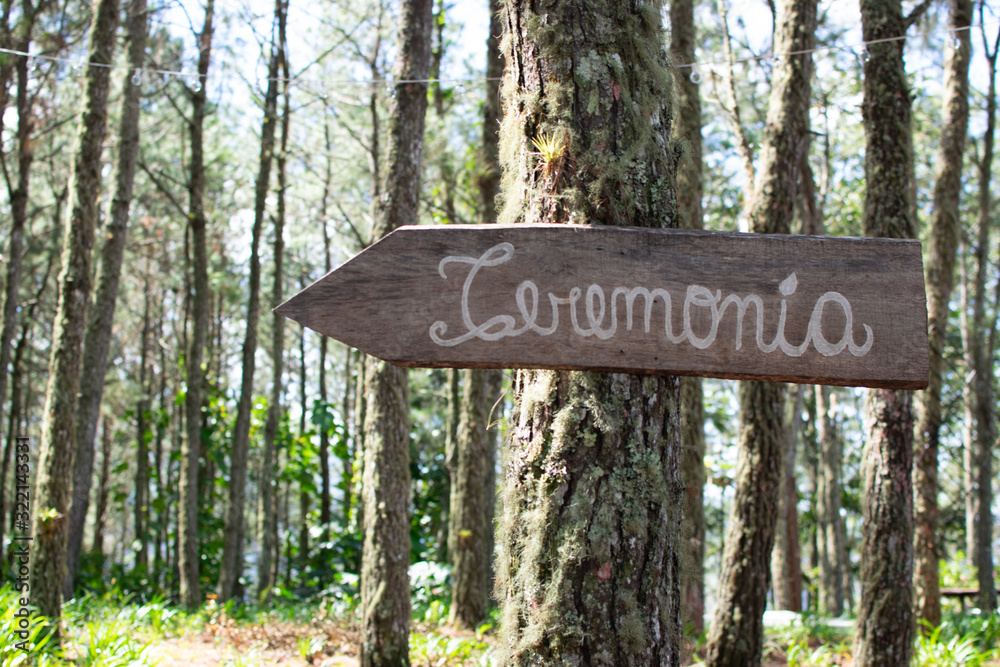 wooden sign in the forest