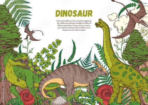 Dinosaurs hand drawn. Vector illustration. Jurassic period. Herbivorous and carnivorous dinosaur. Tropical illustration. © vidimages