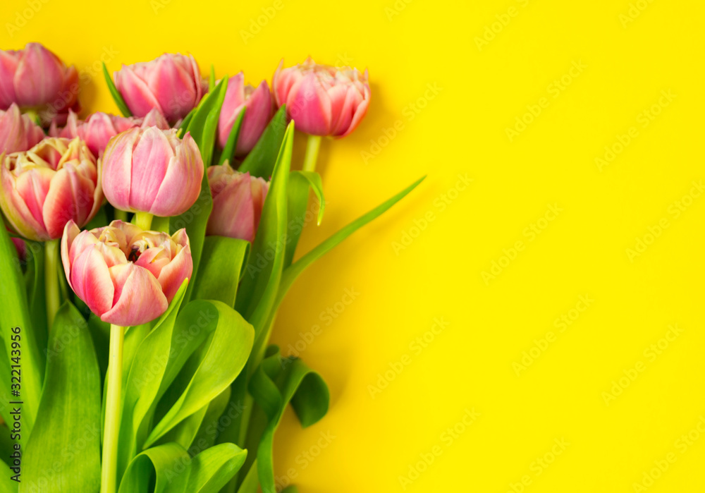 Fototapeta premium Pink tulips on a yellow background. March 8th, Happy Women's Day. The concept of spring. There is a place for text.