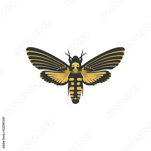 The Convolvulus Hawk Moth Vector Simple Illustration, Butterfly Template Vector
