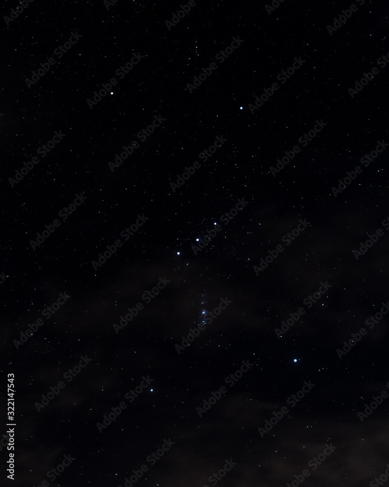 Fototapeta premium Orion