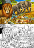 cartoon sketch and color safari scene with lions resting and elephant on the meadow illustration for children