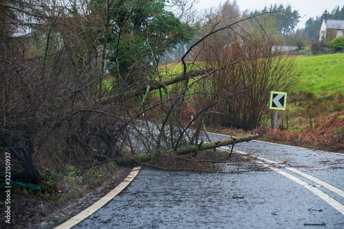 Fallen tree blocking the road in the peak district during Storm Ciara, UK. February 2020