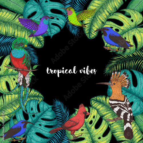 Tropical birds and palm leaves vector illustration. Colorful cardinal bird, kingfisher, hummingbird, quetzal. Hand drawn illustration. Summer design template. Tropical fauna
