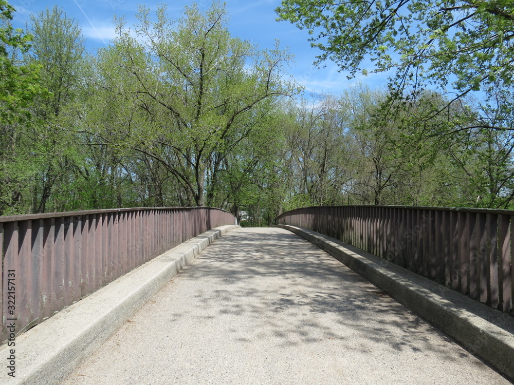 Fototapeta premium bridge in the forest