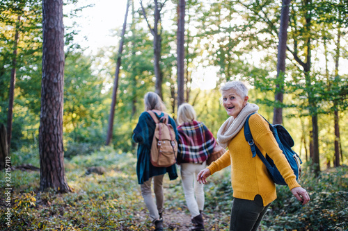 Senior women friends walking outdoors in forest.