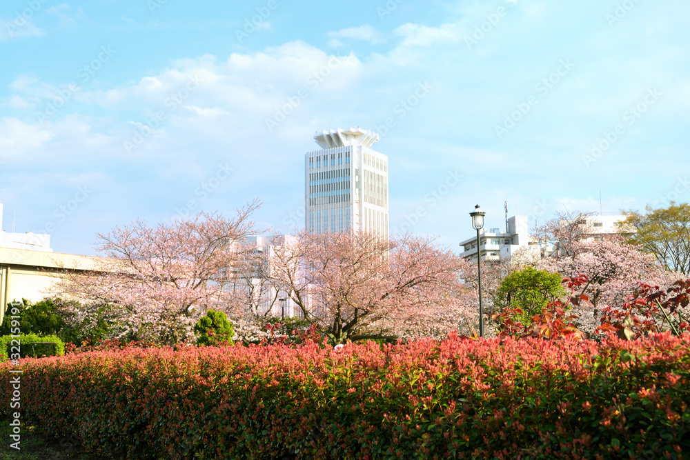Obraz premium ヴェルニー公園 横須賀市汐入町の風景