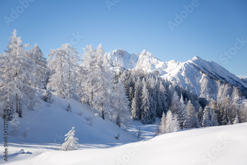 Winter landscape. Austrian countryside with a lot of fresh snow © Olha Sydorenko