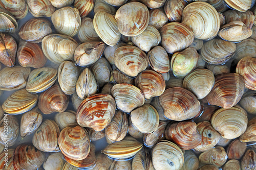 Shell seafood products piled up