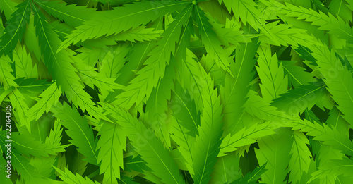 Poster with hemp plant