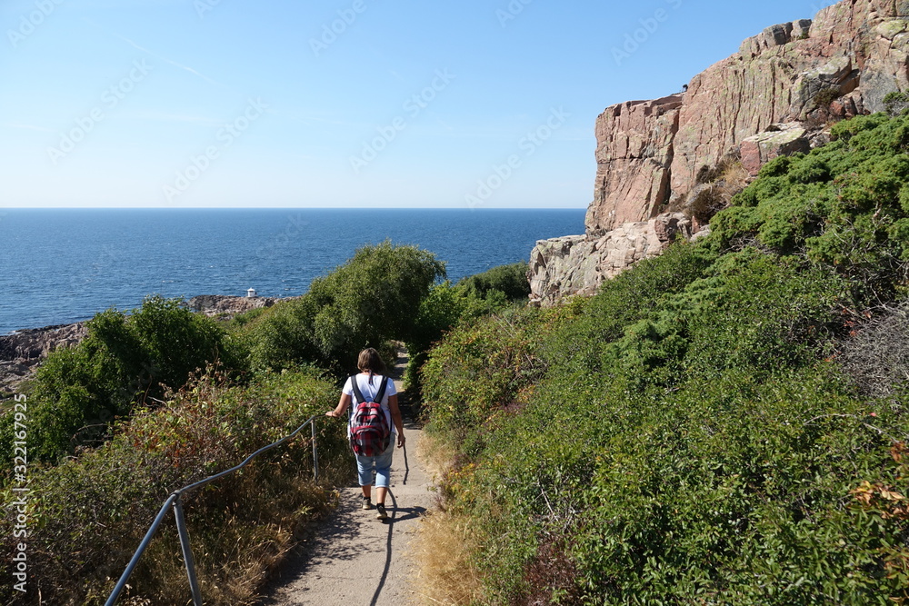 Fototapeta premium Wandern am Kullaberg in Schweden