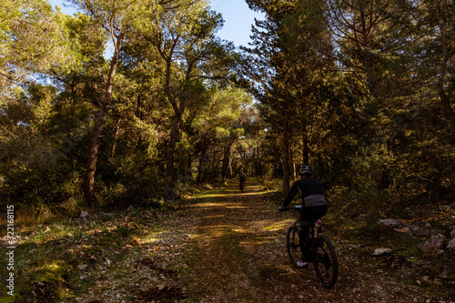 passeggiata in bicicletta nella foresta sotto gli alberi con luci e ombre