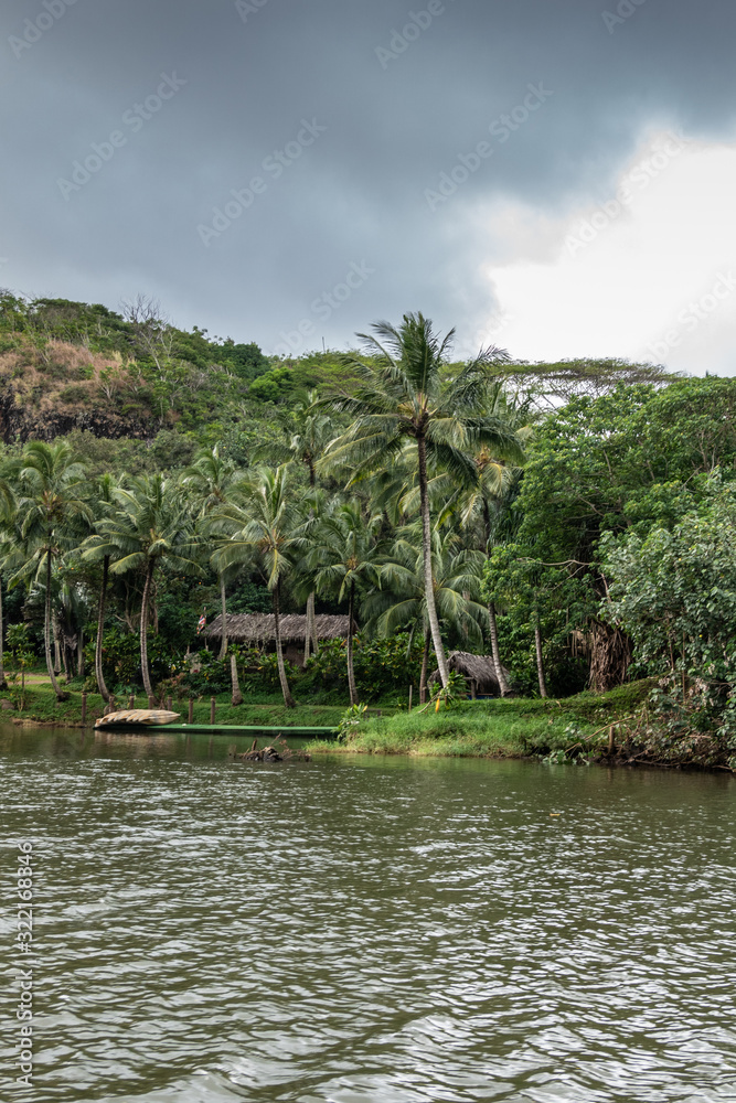 Obraz premium Straw huts on shore of South Fork Wailua River near Nawiliwili, Kauai, Hawaii, USA.