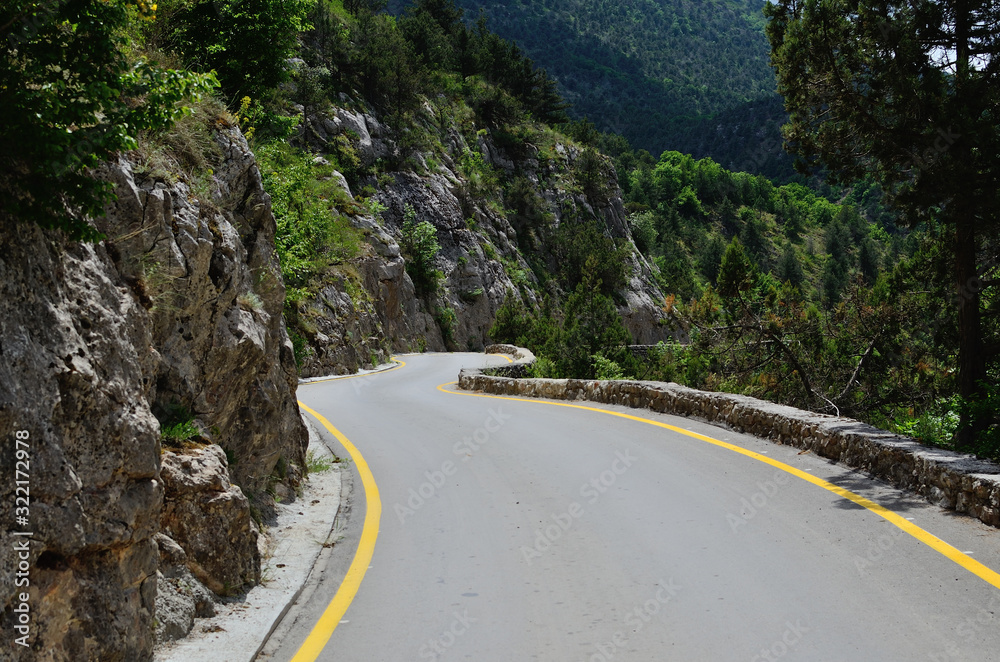 Picturesque mountain road in summer
