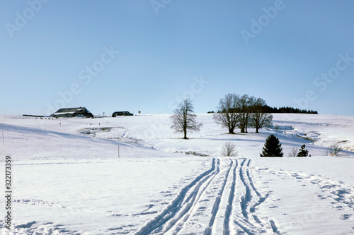 Scenic winter landscape, mountains covered with white snow, dark trees and path in snow leading to the wooden house. Snowy hills under blue sky during sunny winter day. © MindestensM