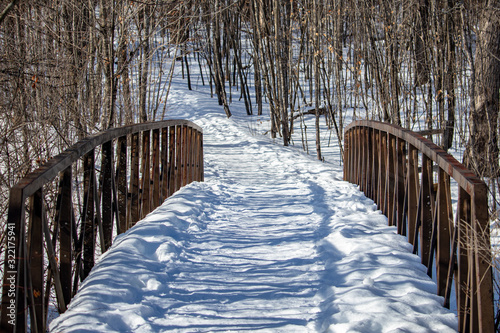 bridge in winter forest