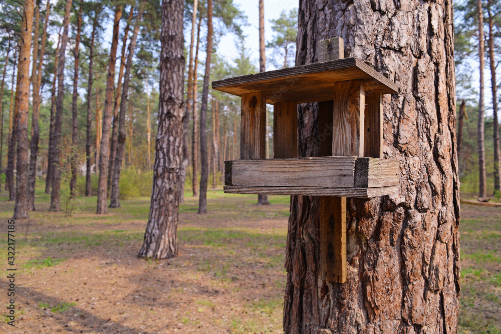 House for birds on a pine tree in the forest. House for birds on a pine tree in the forest.