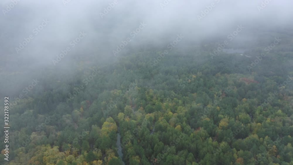 forêt de Sologne et rives de la Loire