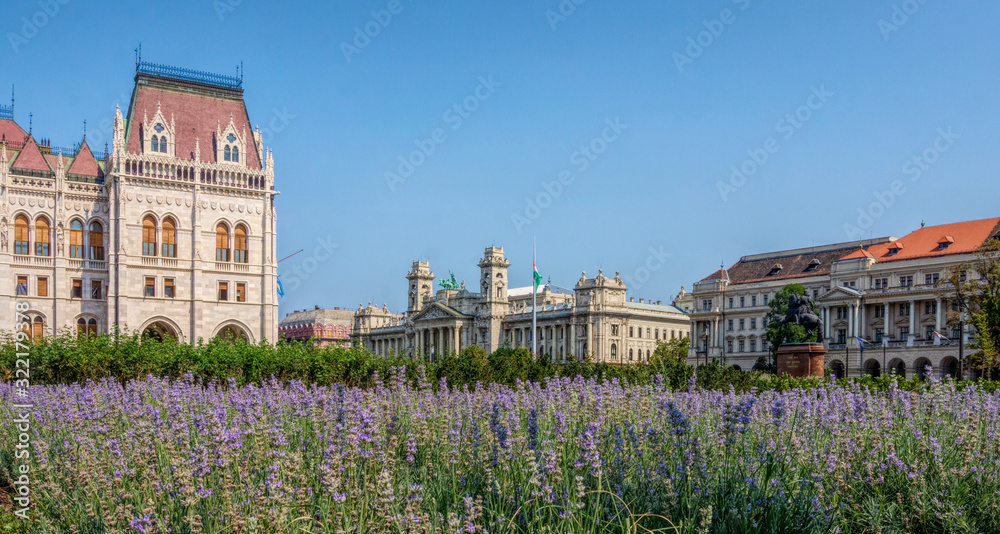 Hungarian Parliament Building and the Ethnographic Museum in Budapest amid a summer flowerbed of blooming lavender