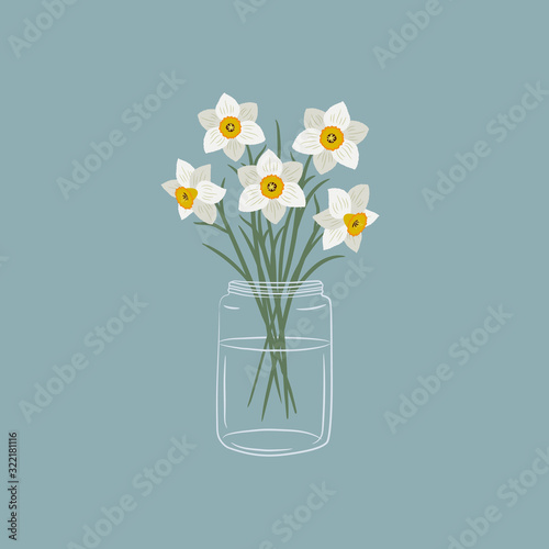 Daffodils in a glass jar. White daffodils with leaves. Spring flowers. Floral composition. Vector illustration on a blue background