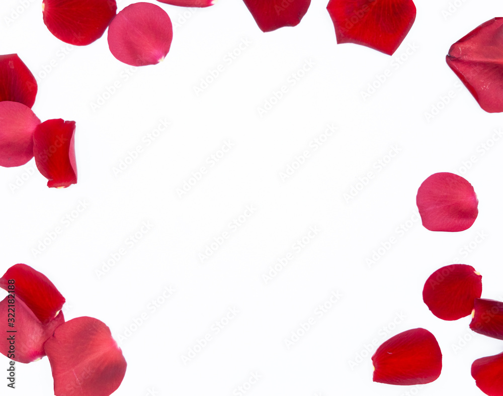 Fototapeta premium Rosen Valentinstag Liebe Blumen Valentines Day roses love