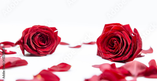 Rosen Valentinstag Liebe Blumen Valentines Day roses love