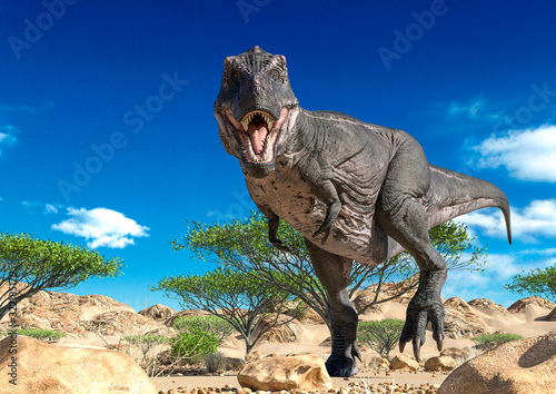 tyrannosaurus is walking alone on desert © DM7