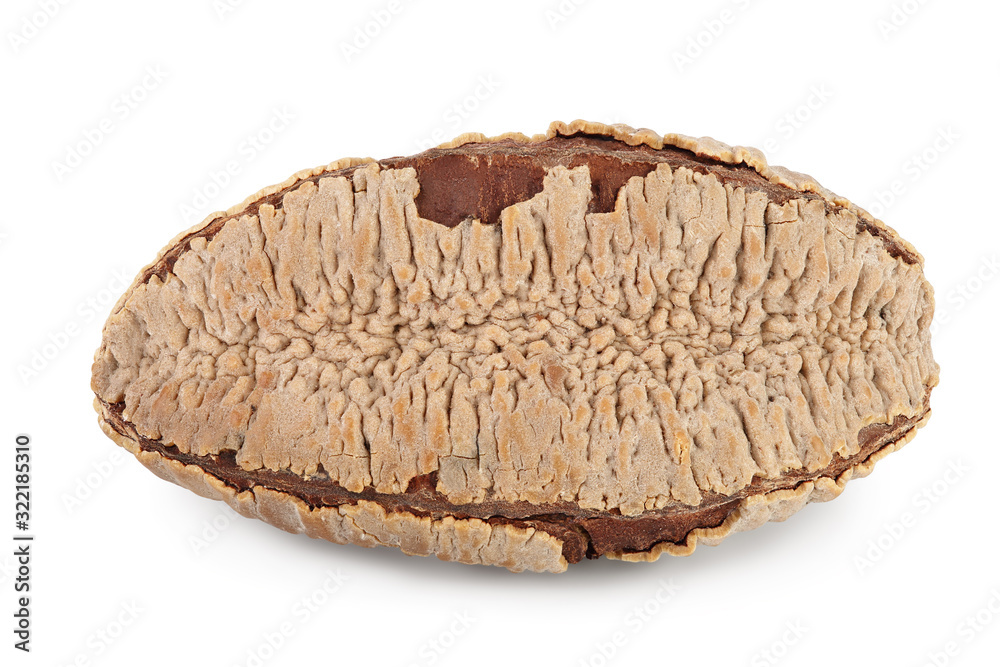 Brasil nut in nutshell isolated on white background with clipping path and full depth of field. Brasil nut in nutshell isolated on white background with clipping path and full depth of field.
