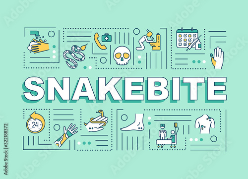Snakebite first aid and medication, injury allergic reaction symptom word concepts banner. Infographics with linear icons on blue background. Isolated typography. Vector outline RGB color illustration
