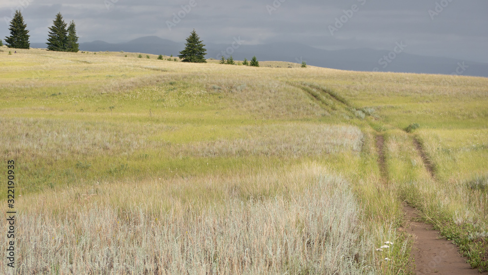 Road leading through golden grasslands on a rainy day. (Canada)
