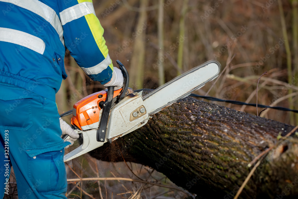 an emergency worker saws a tree that fell on a power line