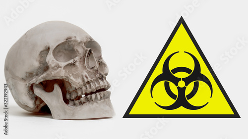 A human skull next to a bio...