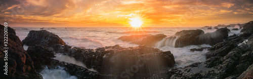 Beluga sunset panoramic banner style © FreebillyPhotography