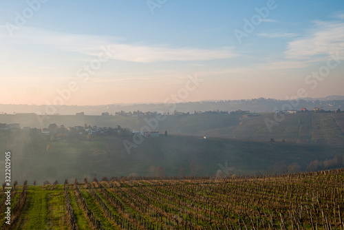 Piacenza, Northern Italy. Vineyards and winter fields in the Italian wine region, in the village of Montecucco. photo