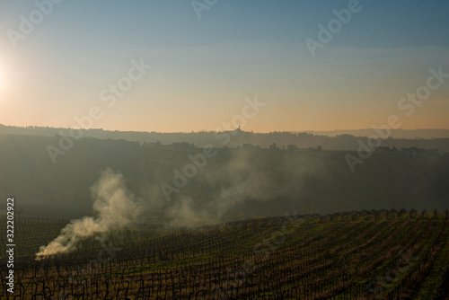 Piacenza, Northern Italy. Vineyards and winter fields in the Italian wine region, in the village of Montecucco. photo