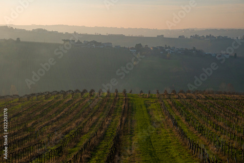 Piacenza, Northern Italy. Vineyards and winter fields in the Italian wine region, in the village of Montecucco. photo
