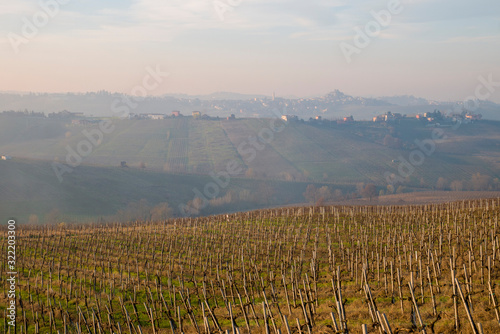 Piacenza, Northern Italy. Vineyards and winter fields in the Italian wine region, in the village of Montecucco. photo