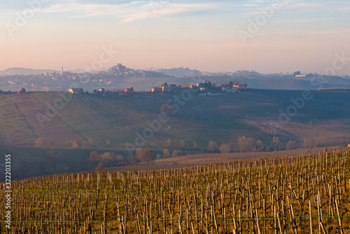 Piacenza, Northern Italy. Vineyards and winter fields in the Italian wine region, in the village of Montecucco. photo