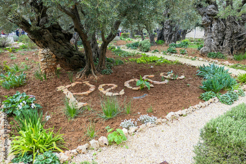 Wallpaper Mural Garten Gethsemane  Israel Peace Torontodigital.ca