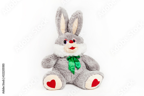 teddy hare