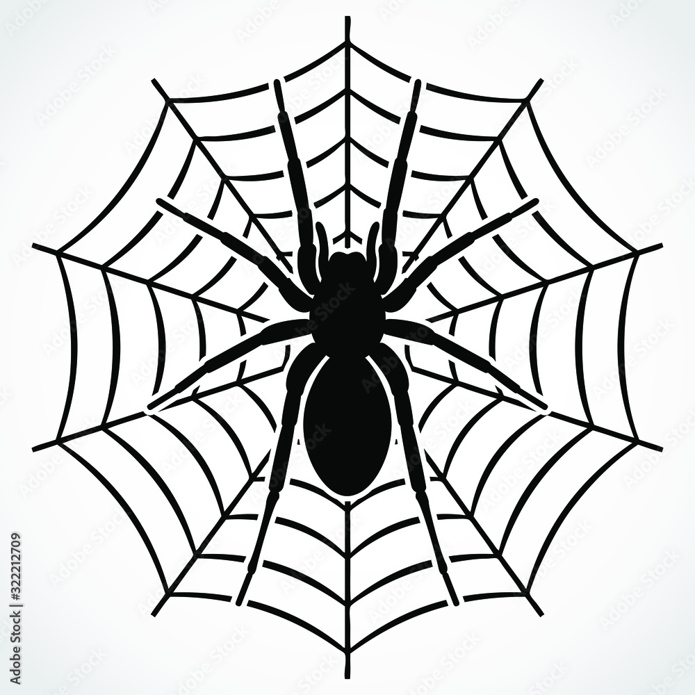 Obraz premium silhouette spider on web / vector illustration